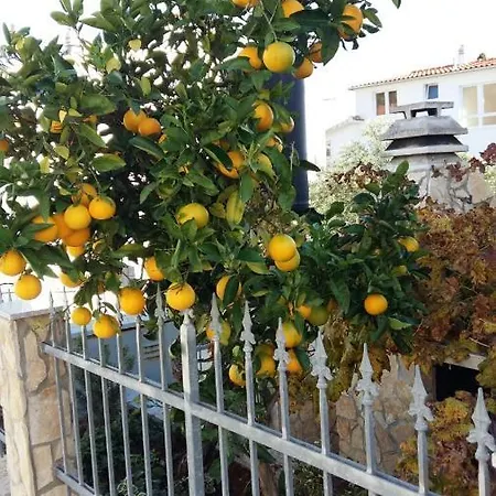 Appartamento Kiki *
