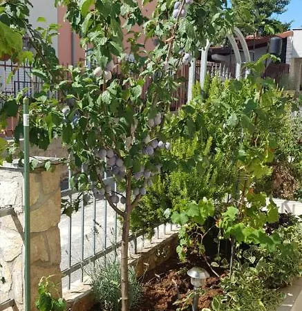 Kiki Apartmán Trogir